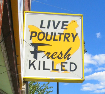 live-poultry